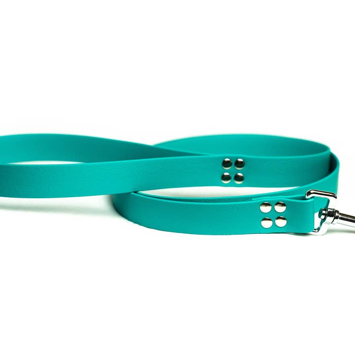 NORMALE GUINZAGLIO VERDE per la vendita all'ingrosso da parte di Pets & Props