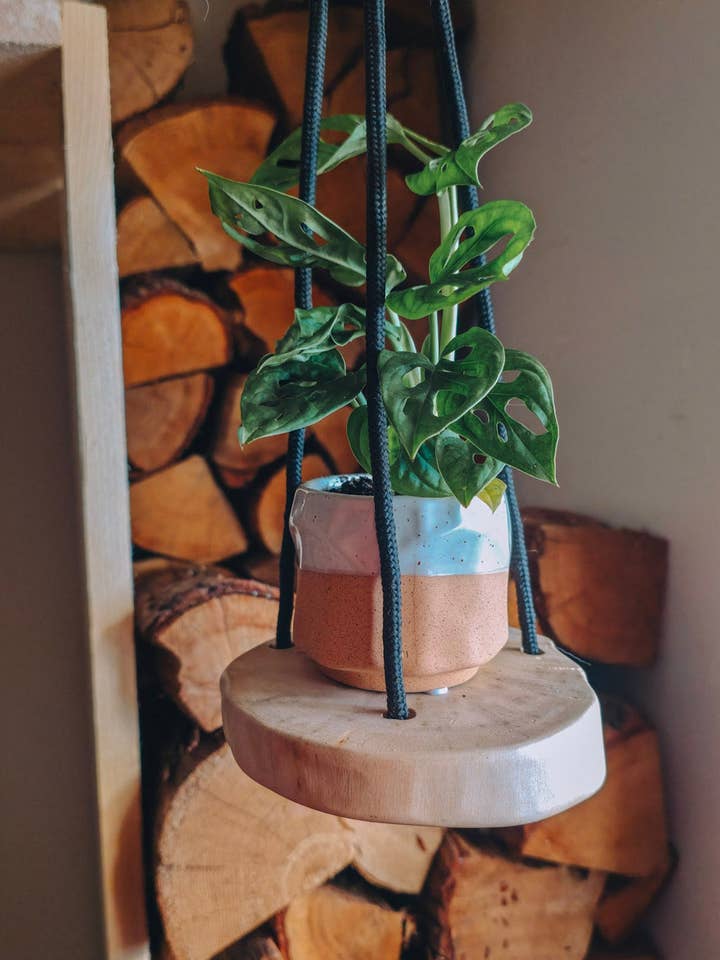 Live Edge Hanging Planter for wholesale by COSWYK