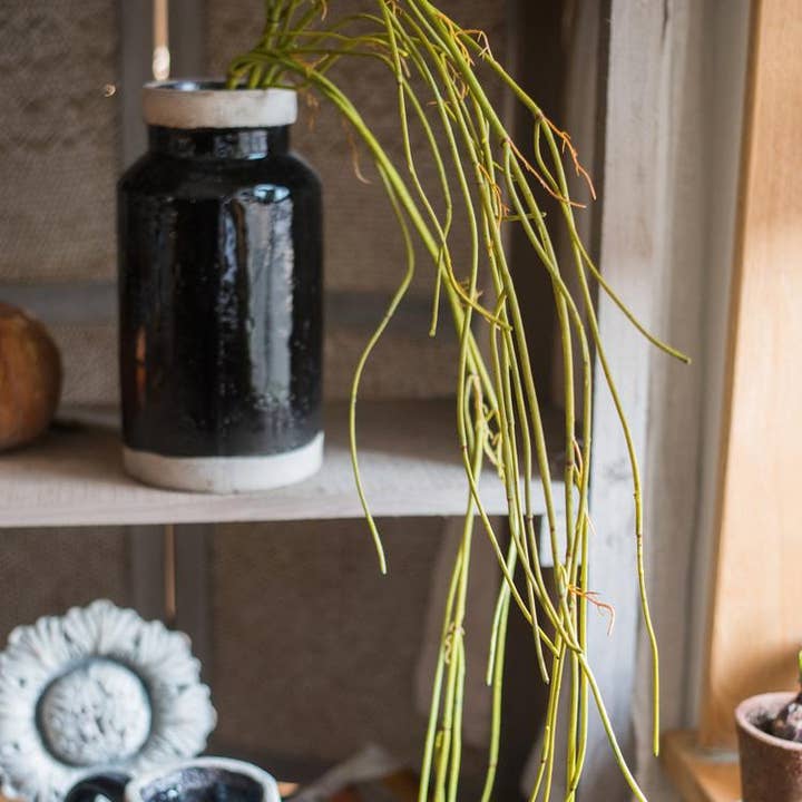 Rustic Reach - Wholesale Artificial Plant - Artificial Green Weeping Willow Stem 55" Long8