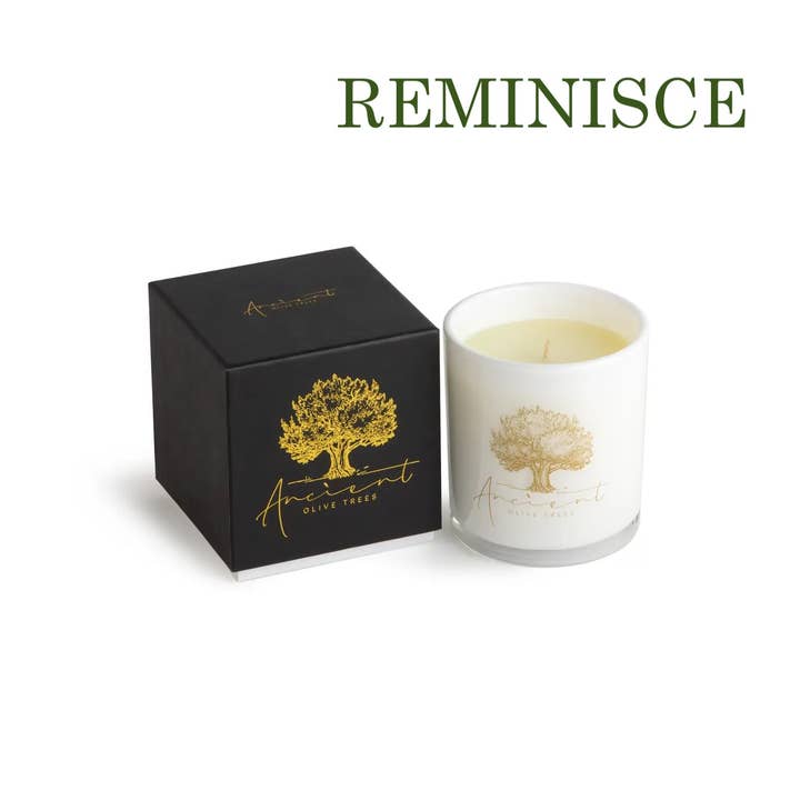 Ancient Olive Trees - Wholesale Pot/gevulde kaars - Luxe geurkaarsen, variétépakket7