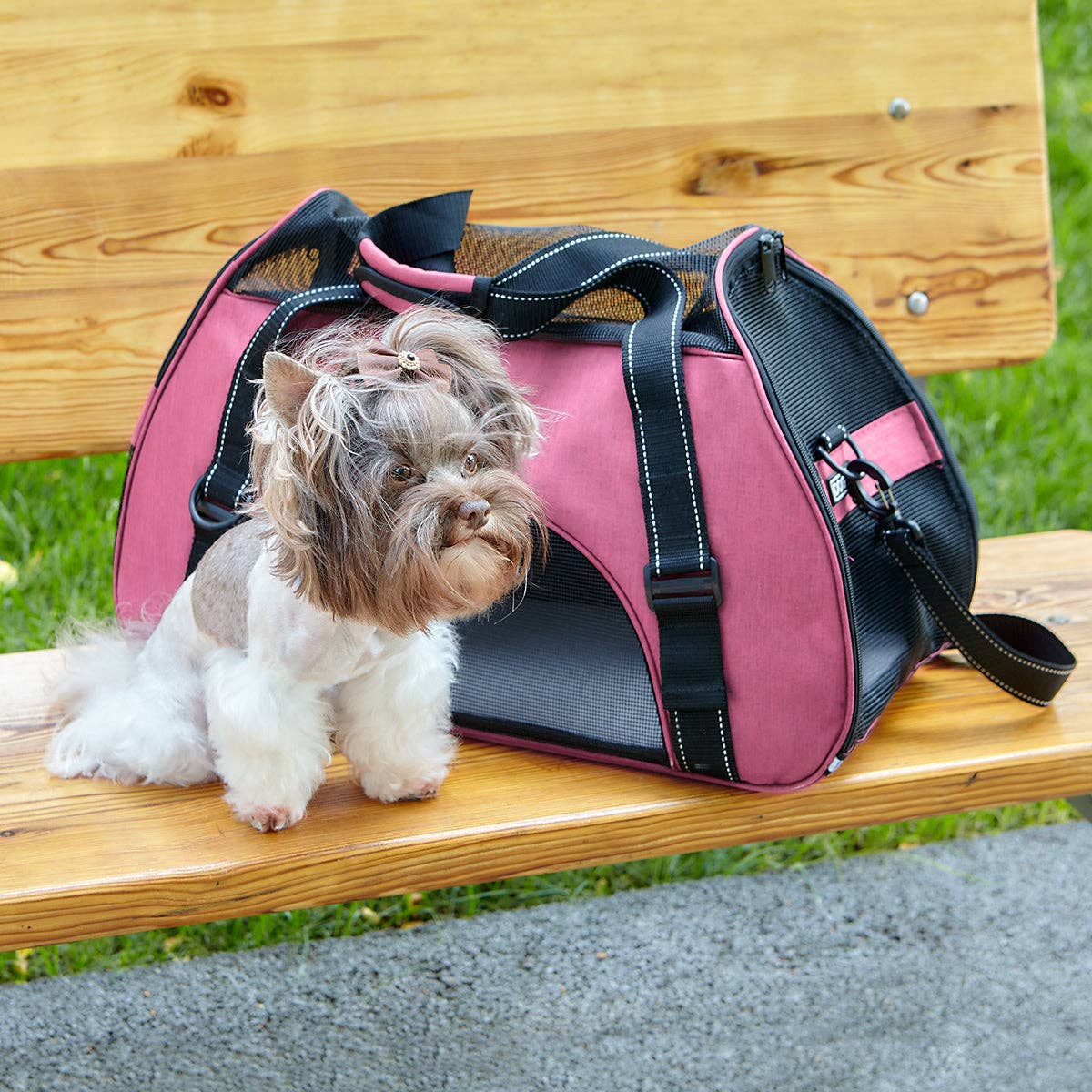 Dogline – wholesale Pet carrier – Cat/dog – Pet Carrier Bag10