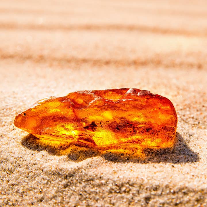 Amber White Candle & Soap Fragrance Oil for wholesale by Scentivore