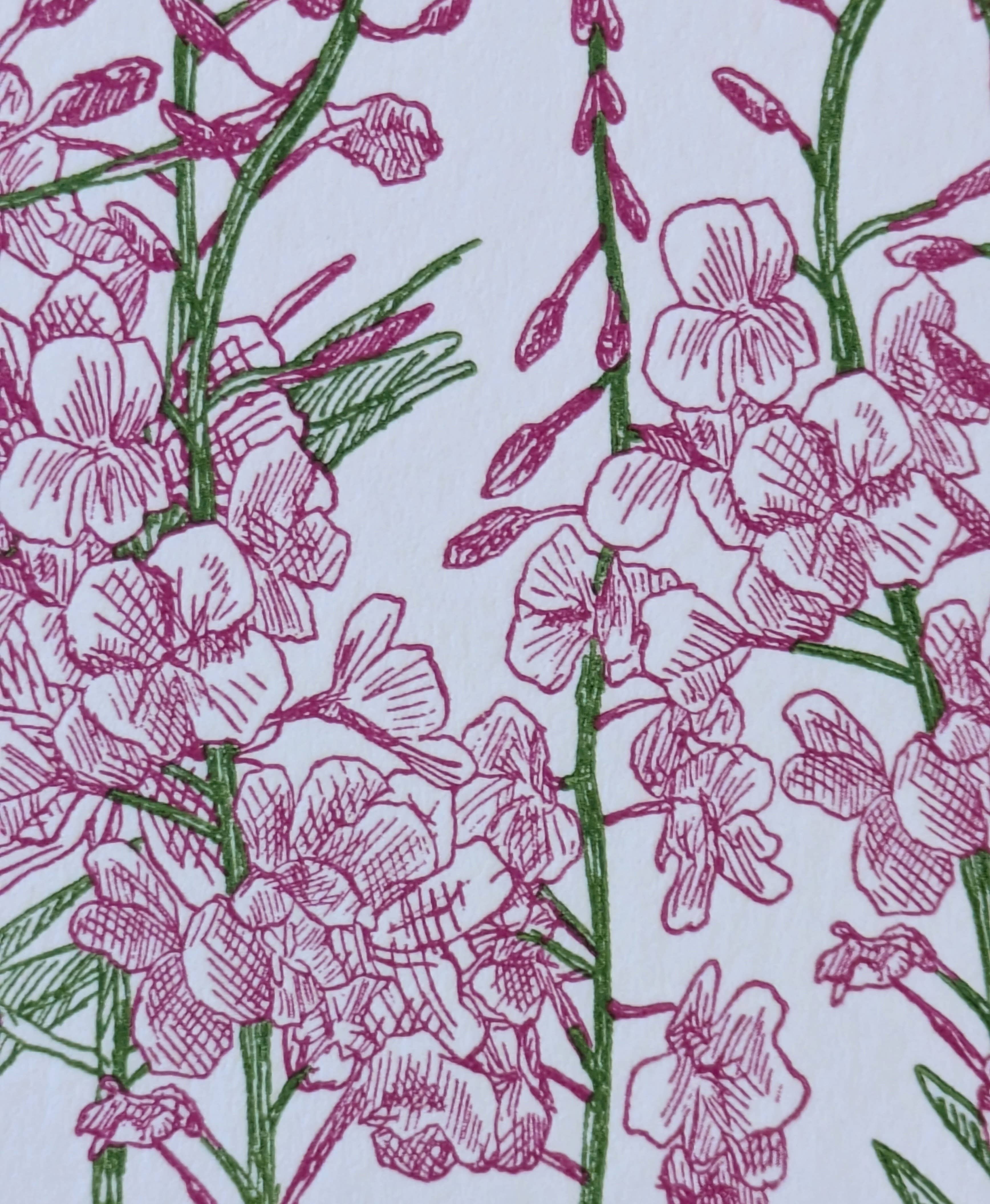 Painted Tongue Press - Wholesale Valentine's Day Card - Fireweed Valentine Card2