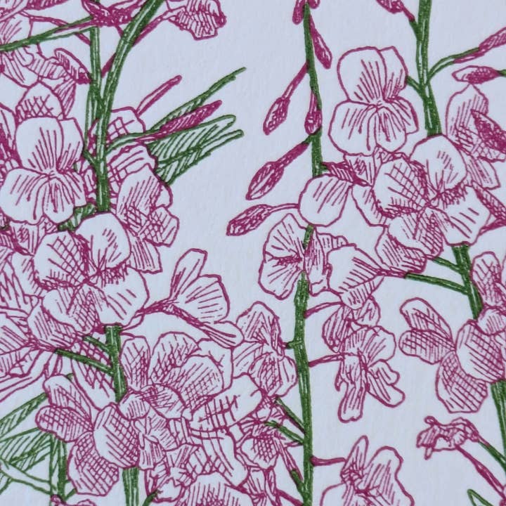 Painted Tongue Press - Wholesale Valentine's Day Card - Fireweed Valentine Card2