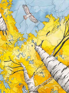 Print - Golden canopy for wholesale by Mattie Rose Art