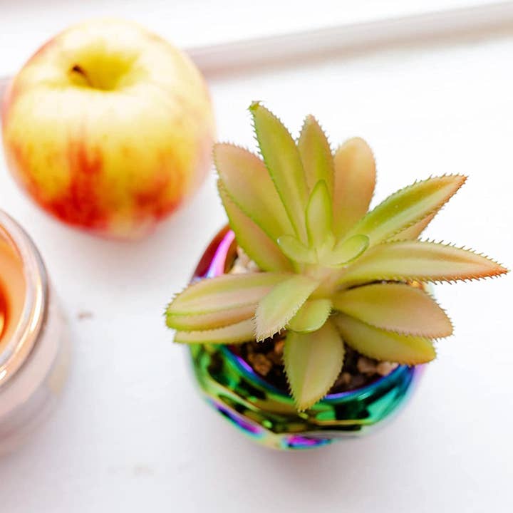 Silver Buffalo - Wholesale Artificial Plant - Disney Villains Poison Apple Mini Ceramic Planter