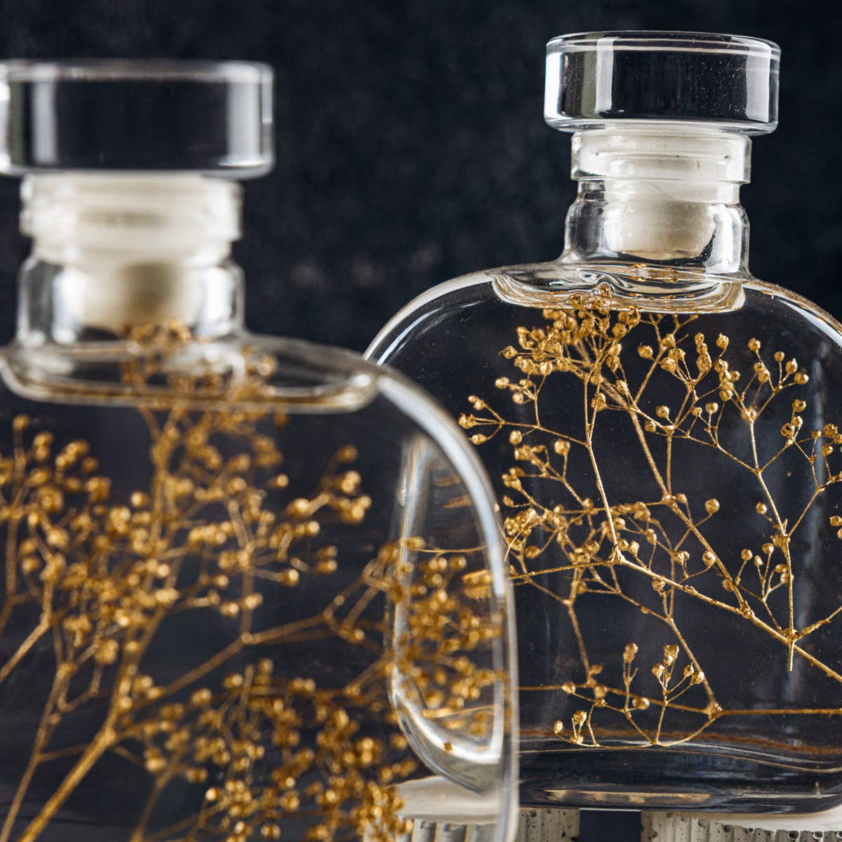 Theophile Berthon – Planta viva por atacado – Cápsula Herbarium - Gipsofila dourada-planta submersa11