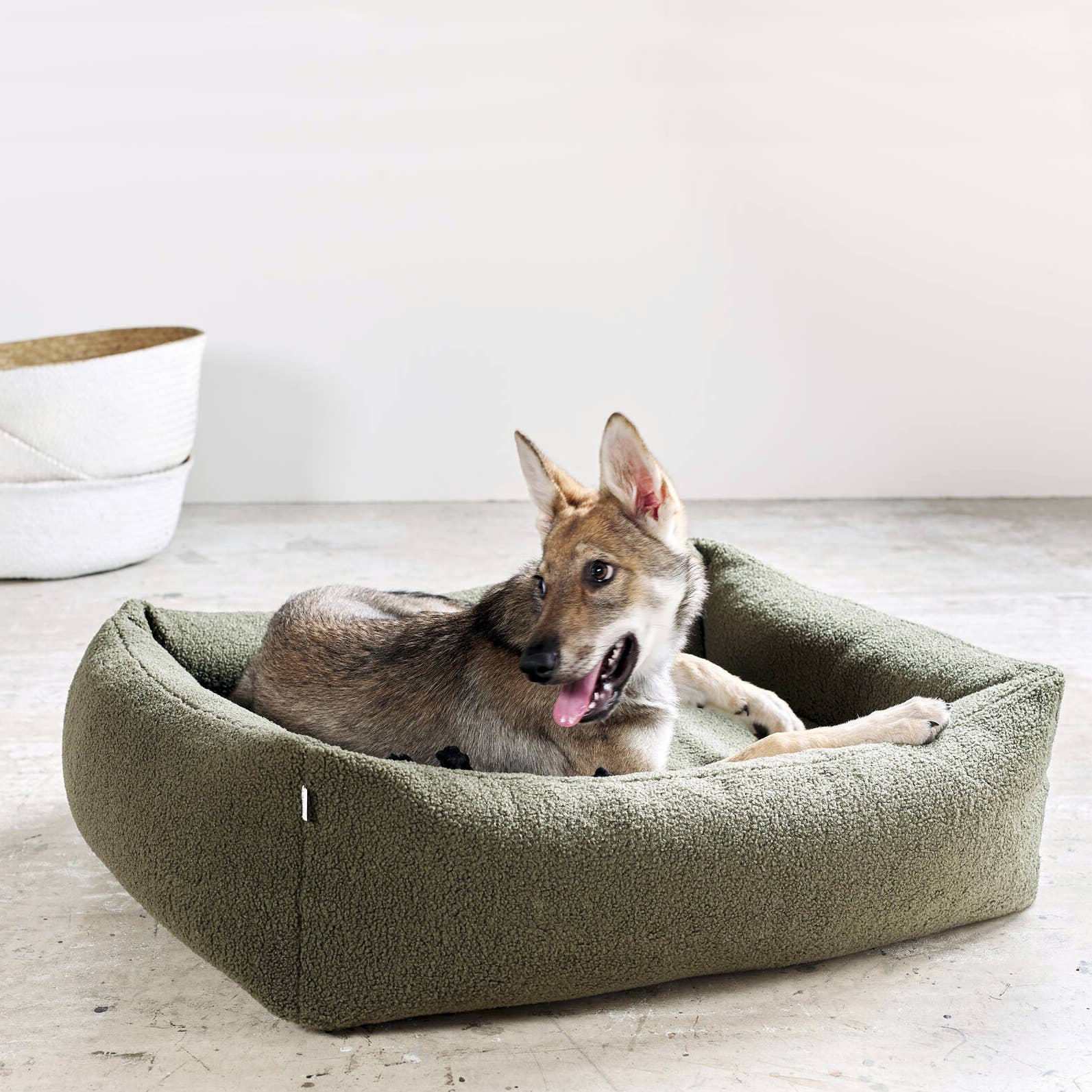 LABONI - Volentis GmbH - Vente Panier – chien - Lit classique pour animaux TEDDY14