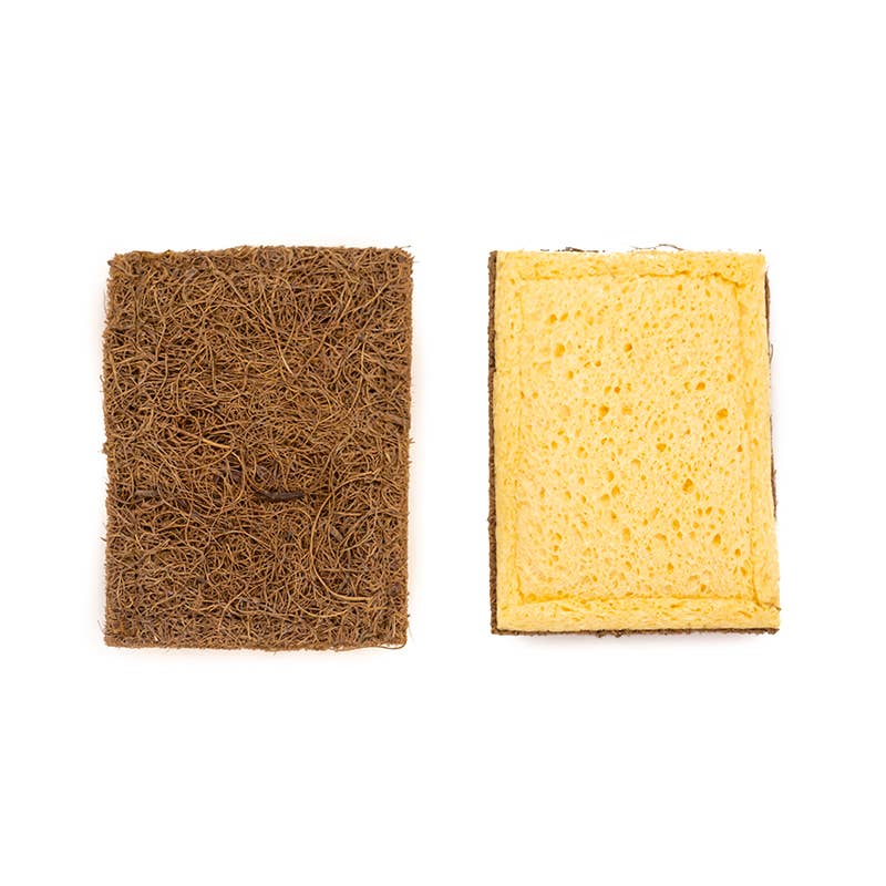 E-koala - Wholesale Cleaning Sponge - Coconut and cellulose scrubber3