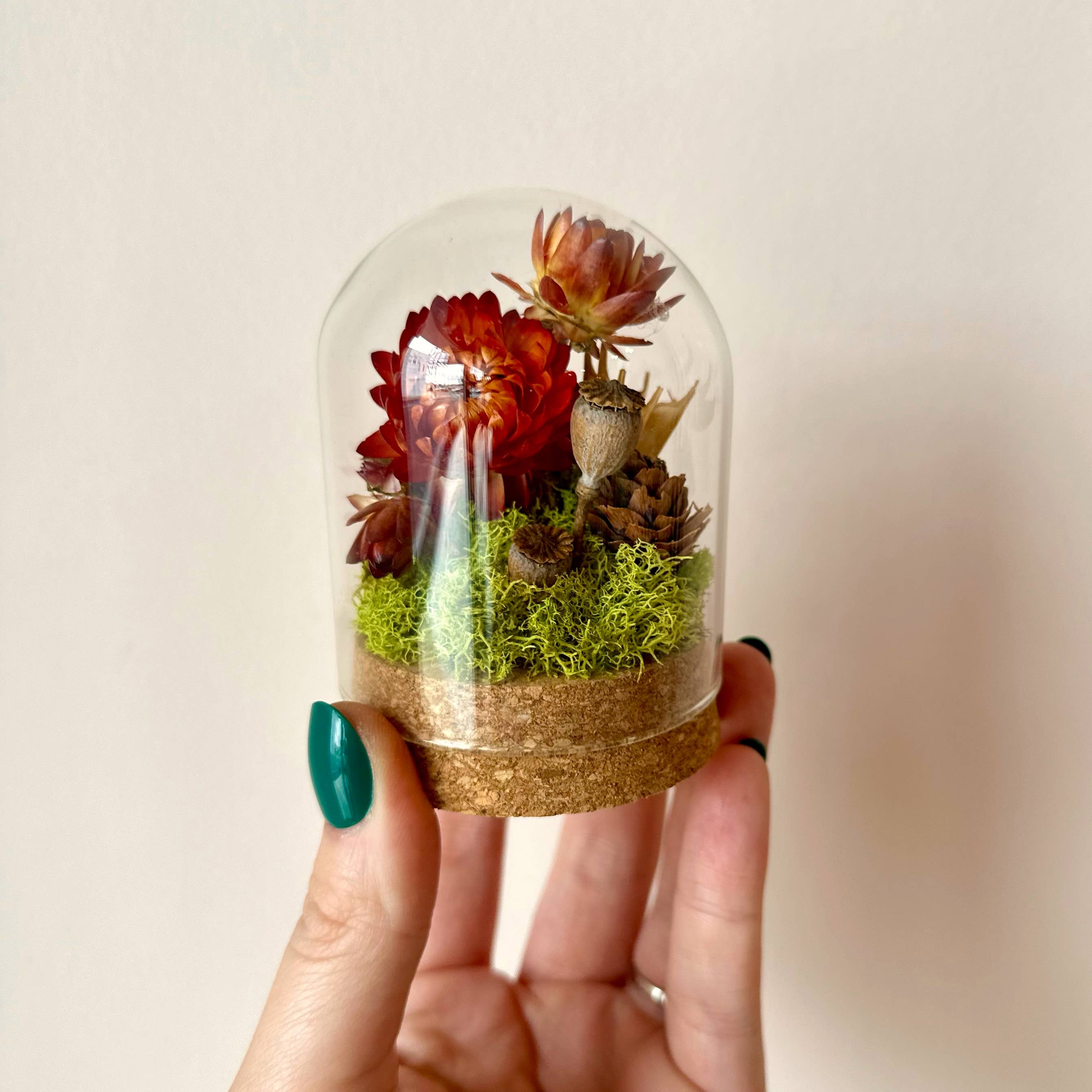 CA Studios - Wholesale Terrarium - Large Botanical Glass Terrarium Jar w. Dried Orange Florals3