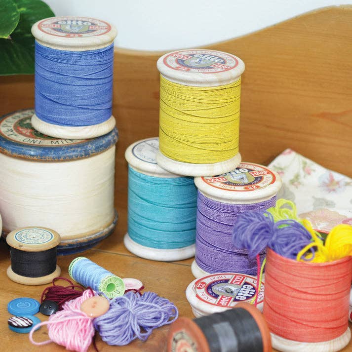 Tin Treats - Wholesale Cookie Jar - Cotton Reel Tins - 6 Assorted (24) With Jelly Beans