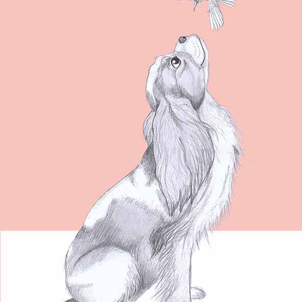 I AM NIEN - Wholesale Everyday Greeting Card - Cavelier king charles spaniel