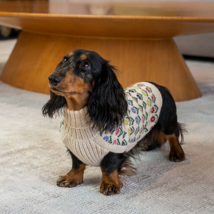 Alqo Wasi - Wholesale Pet Sweater - Dog - Flower Alpaca Dog Sweater3