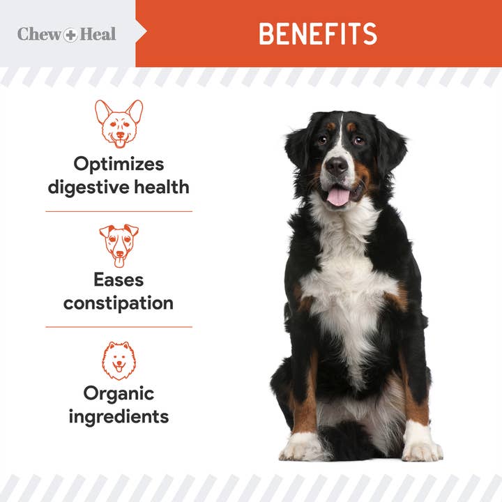 Chew + Heal - Venta al por mayor Suplemento - Perros - Mezcla orgánica en polvo de calabaza para perros, defensa digestiva8