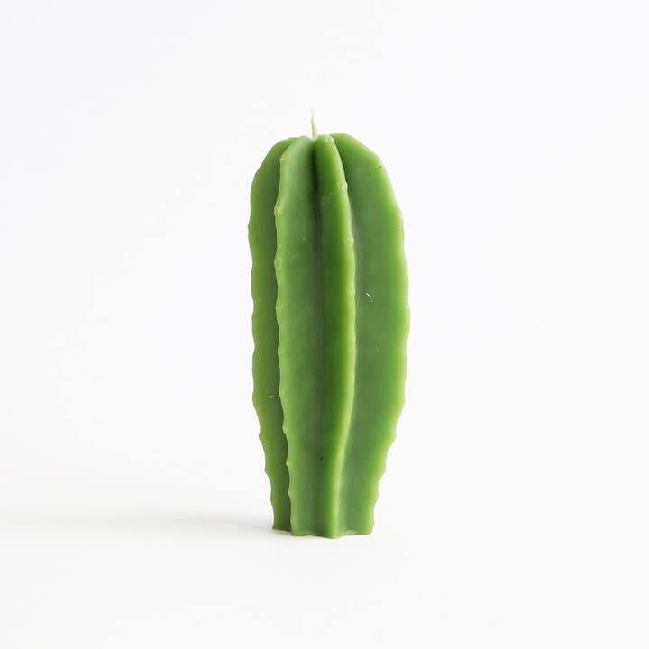 Cactus Bijenwaskaars voor wholesale door Artifaqt