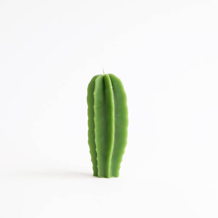 Cactus Beeswax Candle for wholesale by Artifaqt