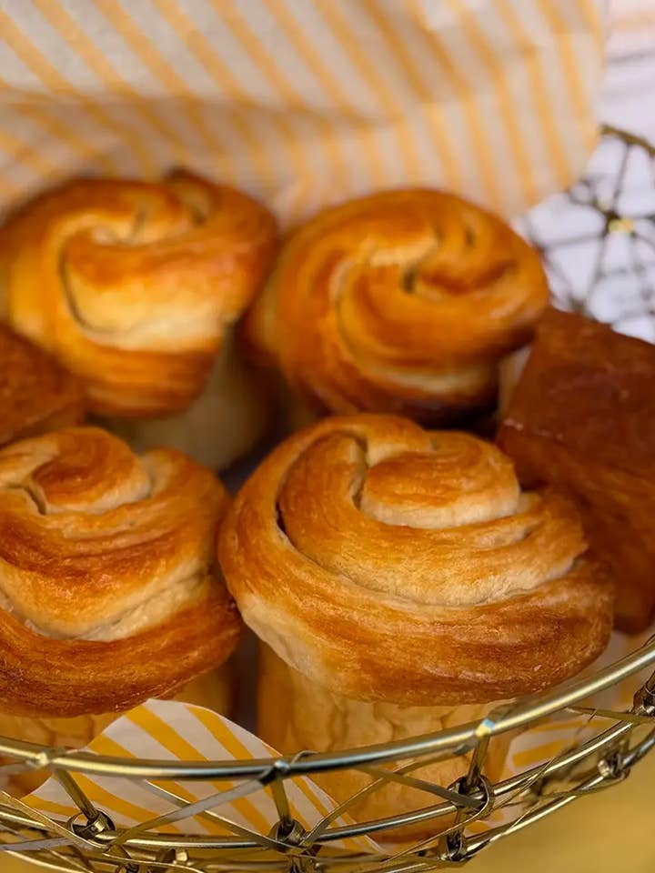 Sampling Box FRENZYE and other Purchase Wholesale freaker. Free Returns & Net 60 Terms on Faire trending on Faire.