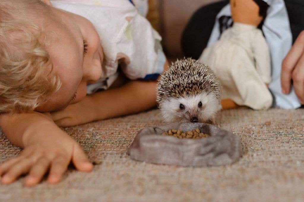 Be A Heart - Wholesale Early Reader Book (6-8) - Mary on the Mantel® Book & Activity Kit16