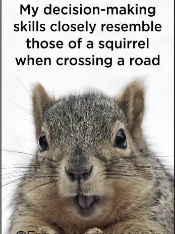 Magnet: My decision-making skills closely resemble for wholesale by Ephemera