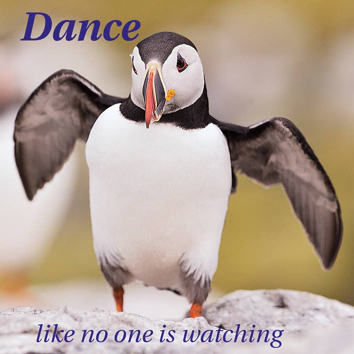 Biglietto di auguri Moments In Time Dance Like No One Is Watching per la vendita all'ingrosso da parte di Island Blue Publishing