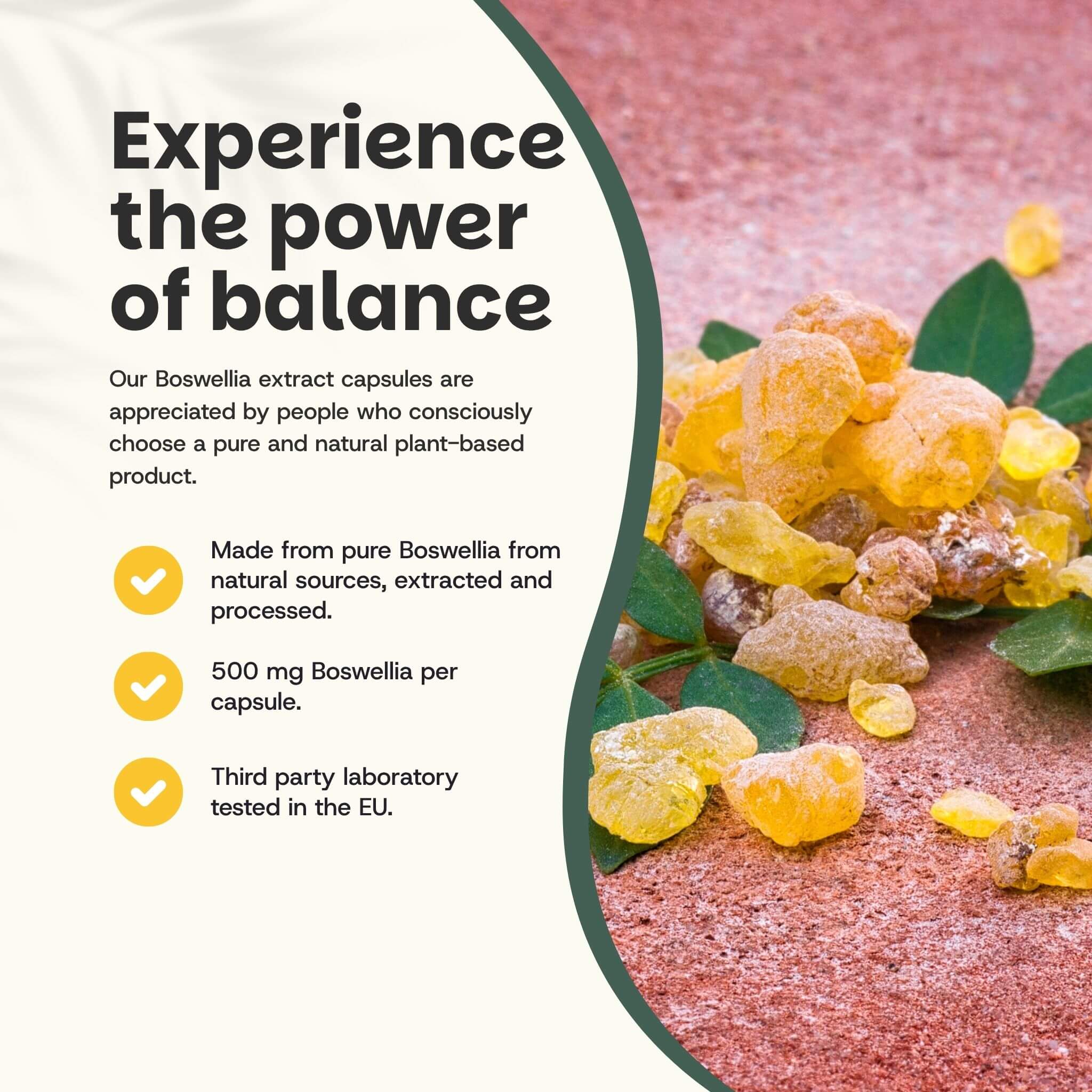 Cupplement b.v. – wholesale Oral supplement/vitamin – Boswellia Extract Capsules 500 mg  60 Capsules1