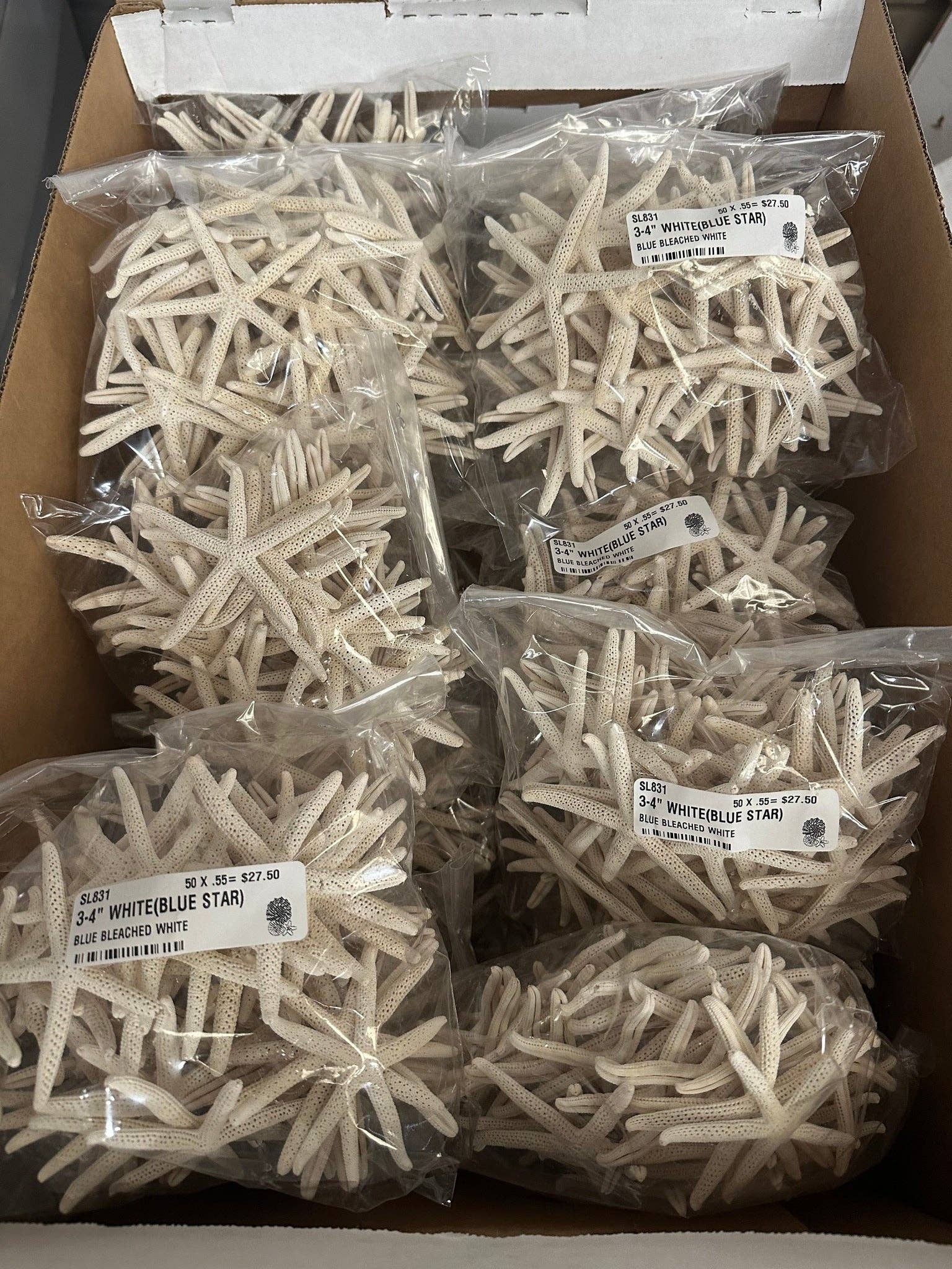 Darlene's Shells - Wholesale Ornament - 1000 PCS 3-4" WHITE STAR0