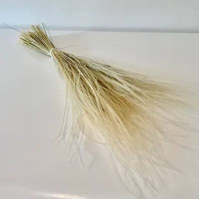 Chaton Et Monsieur Ours - Wholesale Dried/Pressed Flowers - STRIPIA PENNATA, Dried Herb, DIY2