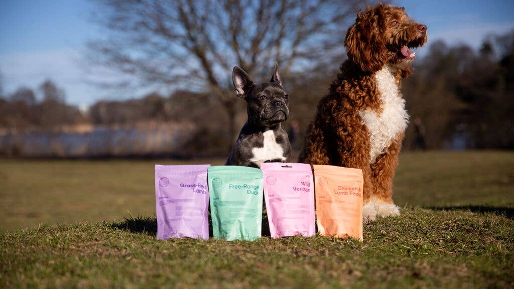Finest Petfoods - Vente Nourriture – chien - Nourriture sèche naturelle pour chien Buddy à l'agneau élevé à l'herbe 2 kg3