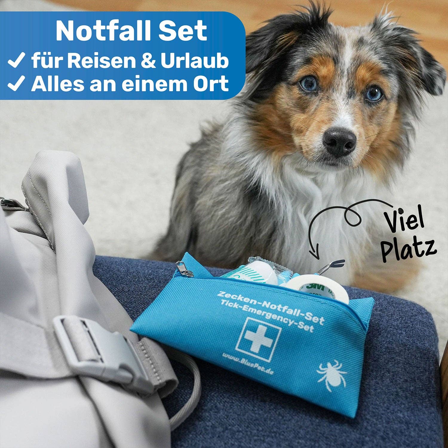 BluePet - Wholesale Pet Grooming Set - Dog - 10-piece tick remover set, emergency kit for dogs & cats1