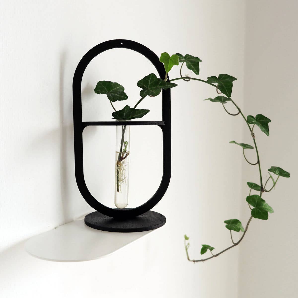 dESIGNoBJECT.it - Wholesale Vase - Modern Design Single Flower Vase5