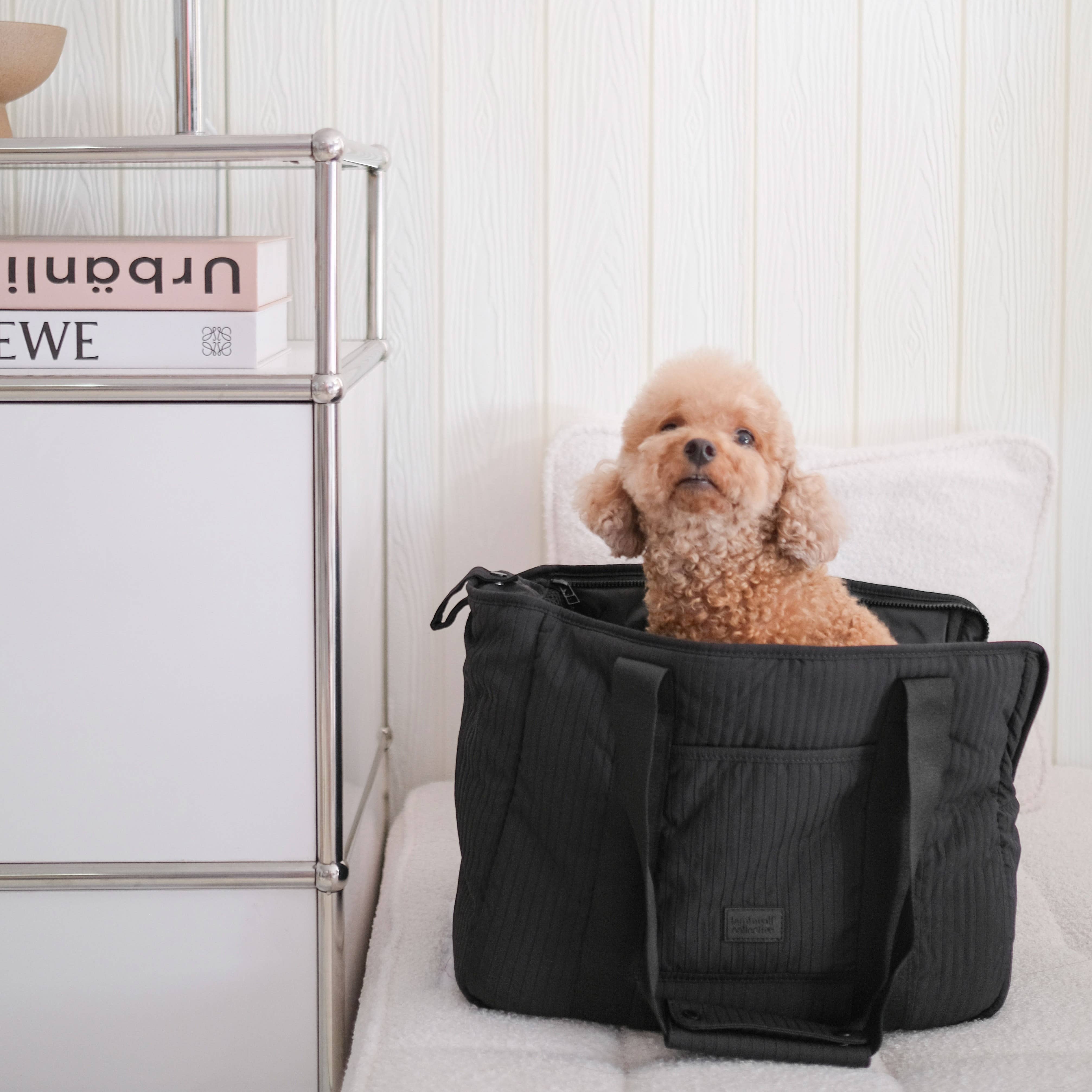 Lambwolf Collective – Caixa de transporte - Cão por atacado – TRANSPORTADORA DE ANIMAIS//CIDADE2