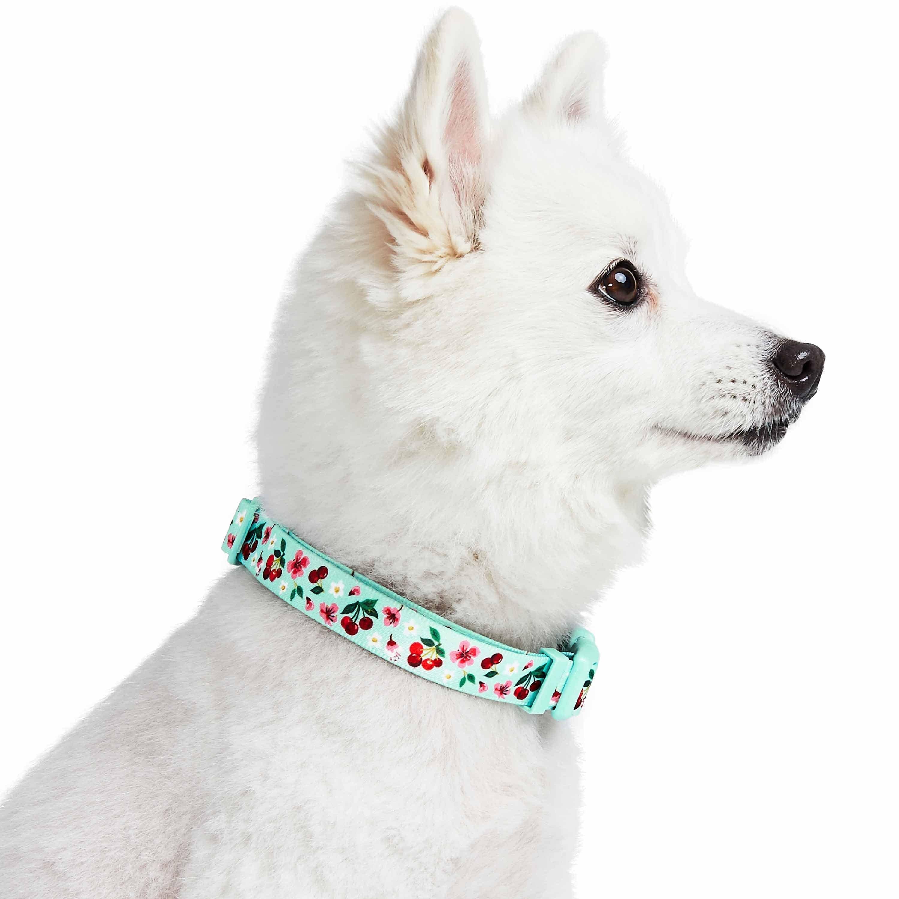 Blueberry Pet - Wholesale Pet Collar - Dog - Summer Floral Dog Collar in Pastel Colors for Girl Dogs14