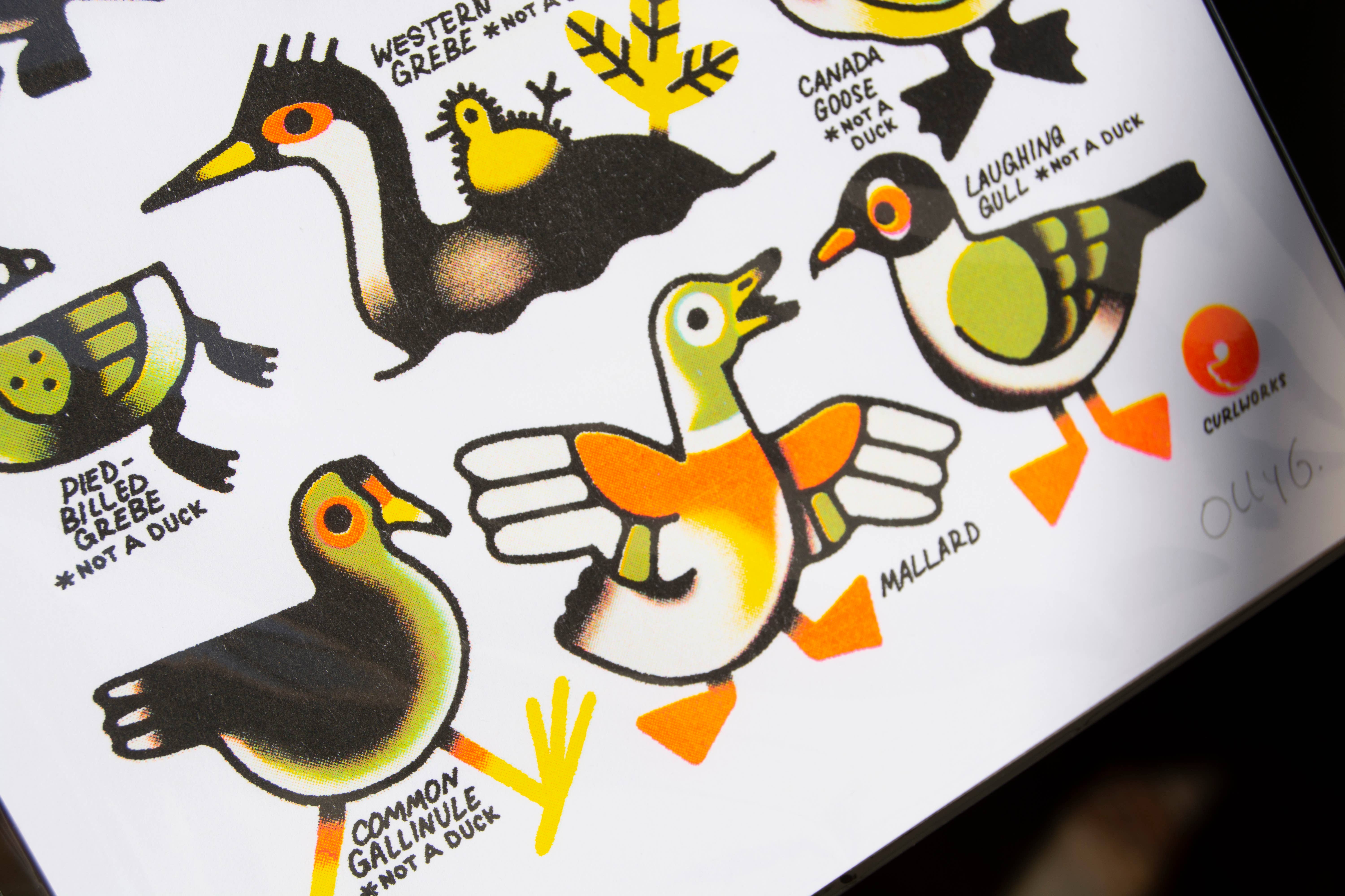 Curlworks – wholesale Art print – Ducks (not a duck) - 8x10" Risograph Print2