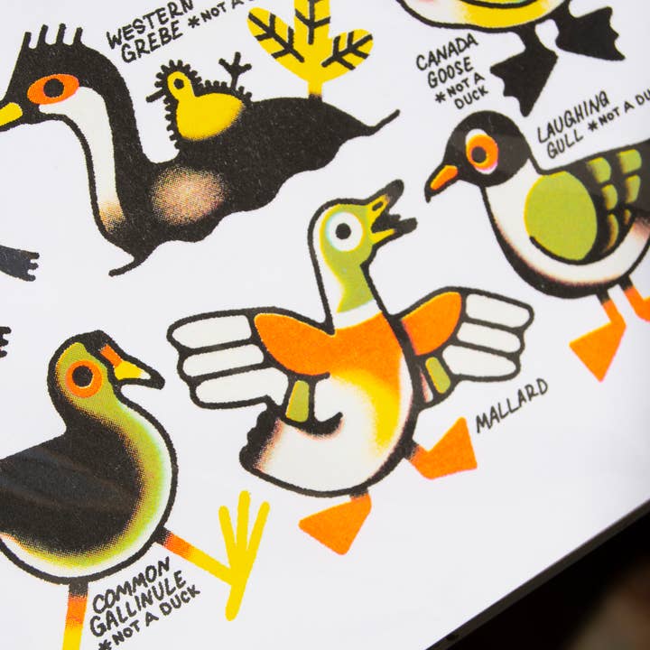 Curlworks - Vente Affiche d'art - Des canards (pas un canard) - Impression risographique de 8 x 10 pouces2
