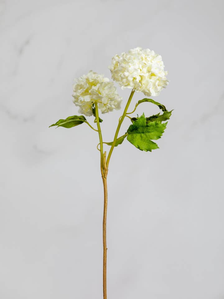 White Snowball 21.5" for wholesale by Prestige Botanicals