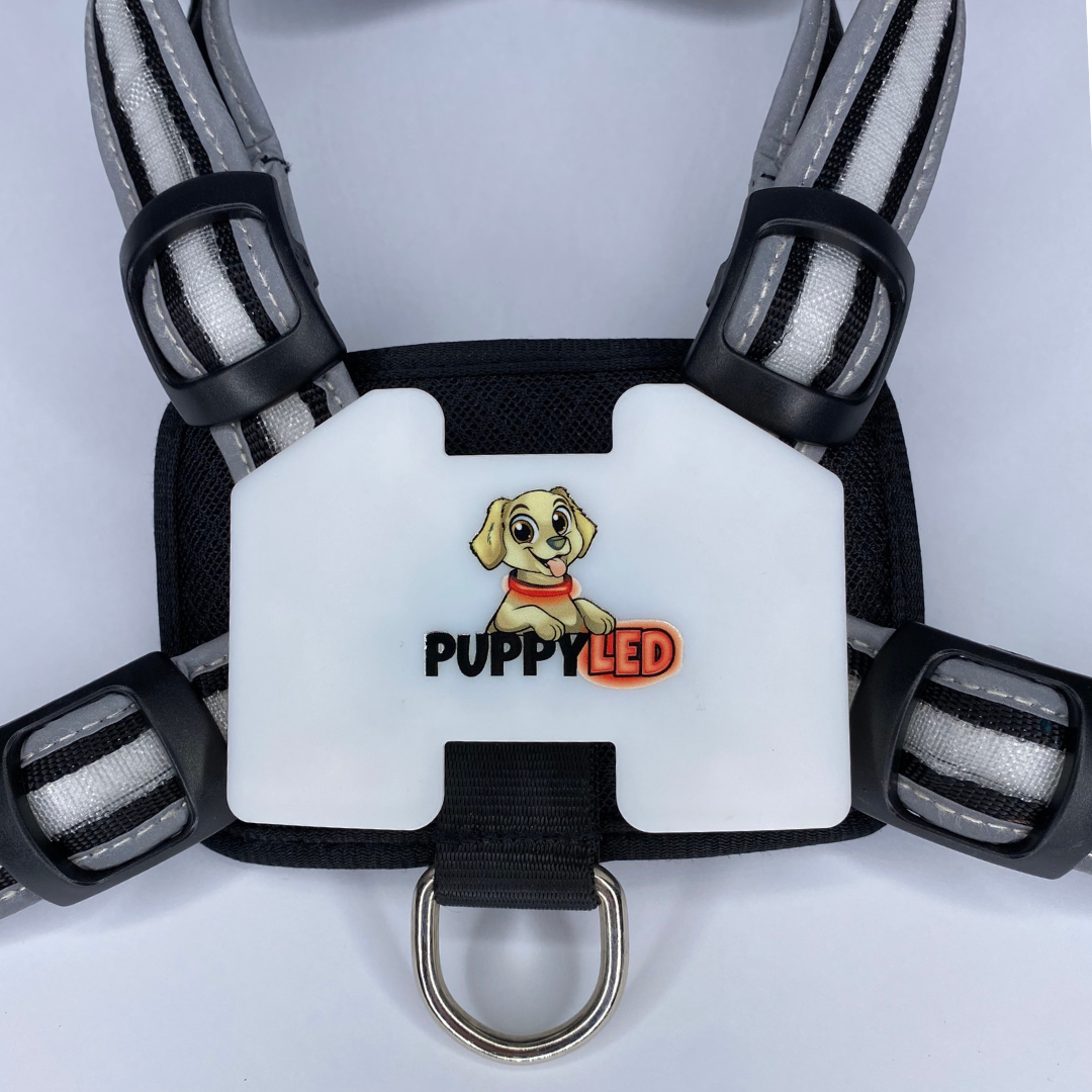 Puppy LED - Venta al por mayor Arnés - Perros - Arnés para perro con luces LED7