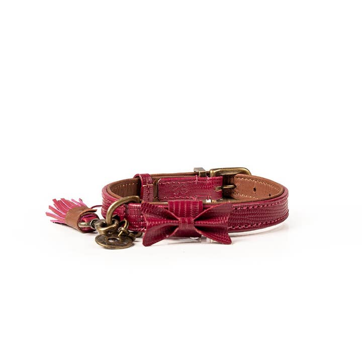 Dog with a Mission – Engroshandel Halsbånd - Hund – City Bonnie Hundehalsbånd XXL (Halsomkreds 55-65 cm / 4 cm)7