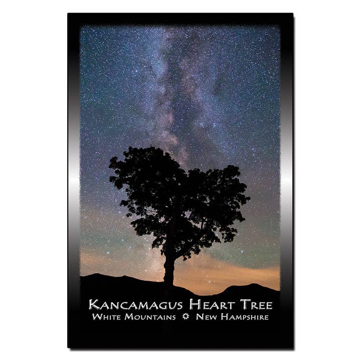 #9100 Kanc Heart Tree Postcard for wholesale by White Mountain Images