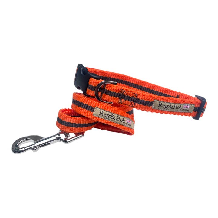 Reg&Bob - Wholesale Pet Collar - Dog - Reg&Bob Collar Orange stripe4