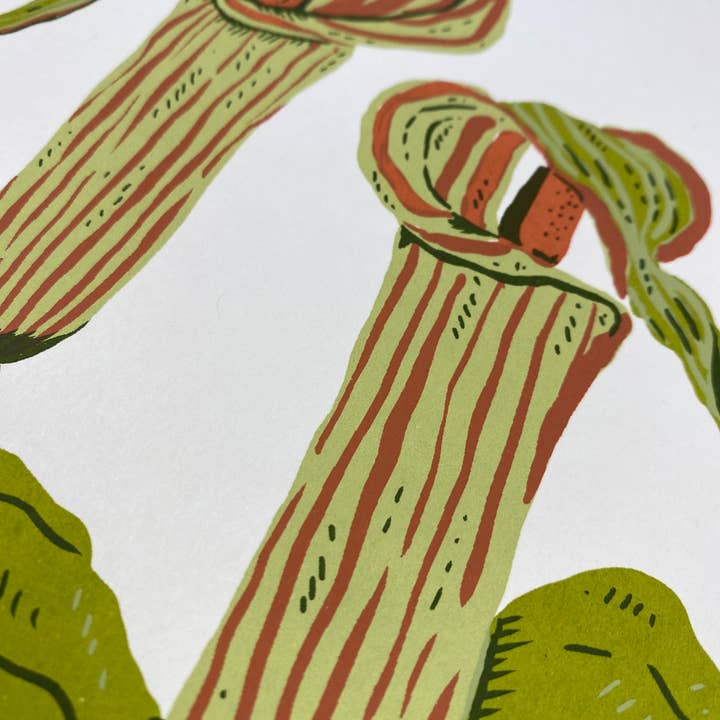 Stacey Malasky - Wholesale Art Print - Jack-in-the-pulpit Print1