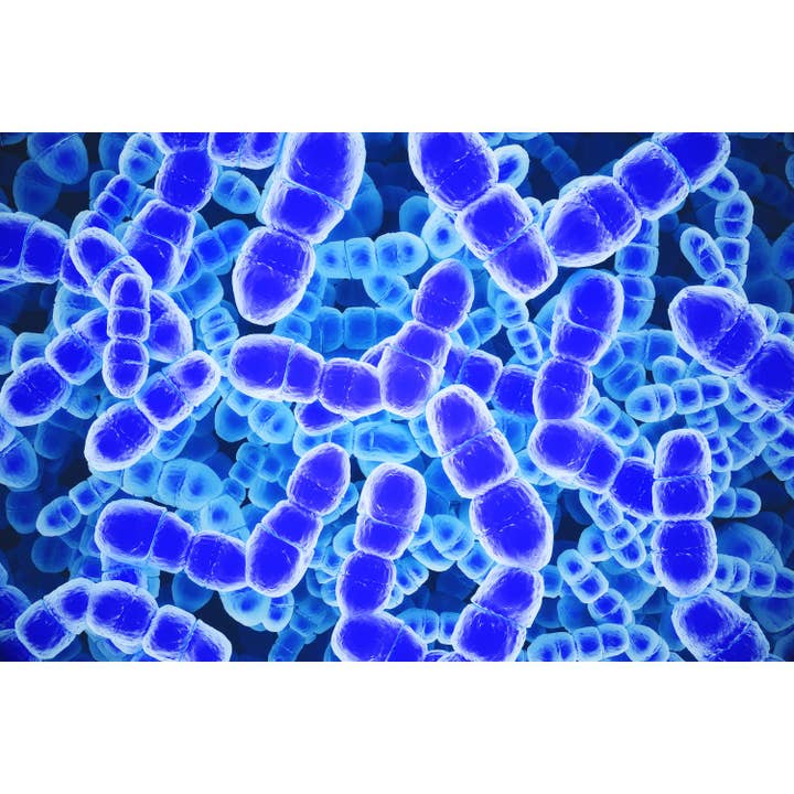 Medical Office Art - Sfondo batterico per la vendita all'ingrosso da parte di Queence