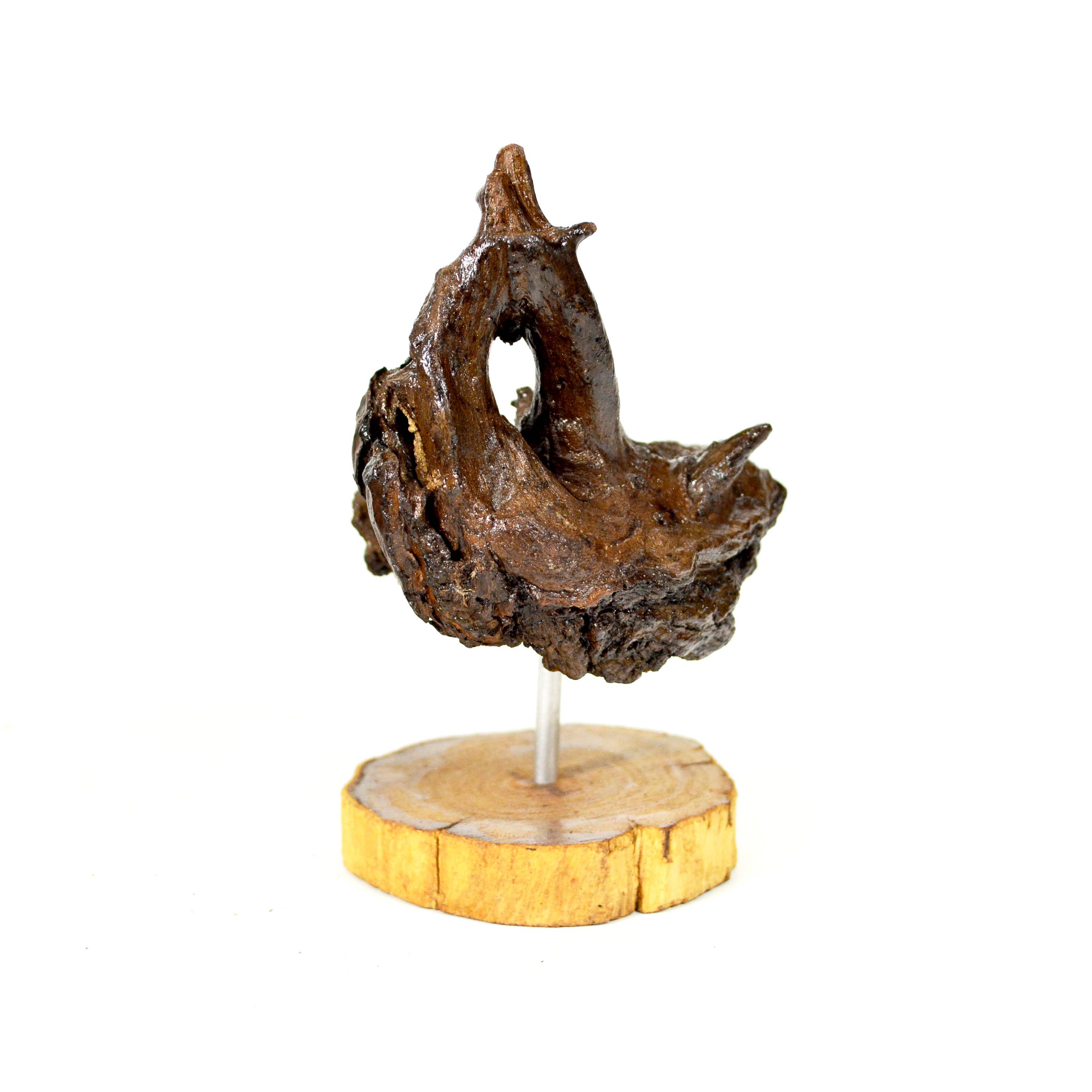 Natural Dark Driftwood Sculpture 4-6" Natural, Wood Stand for wholesale on Faire6