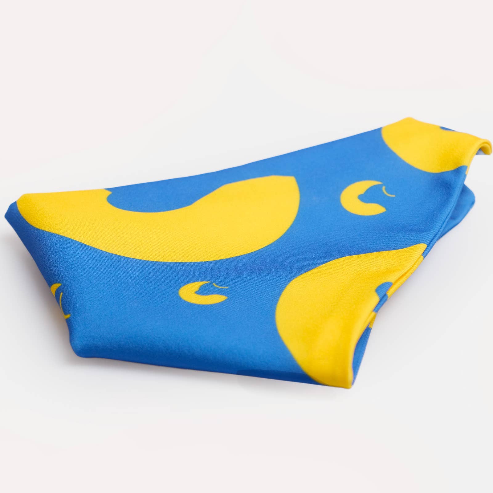 Chewise Official - Wholesale Pet Bowl - Dog - Chewise Dog Bandana2