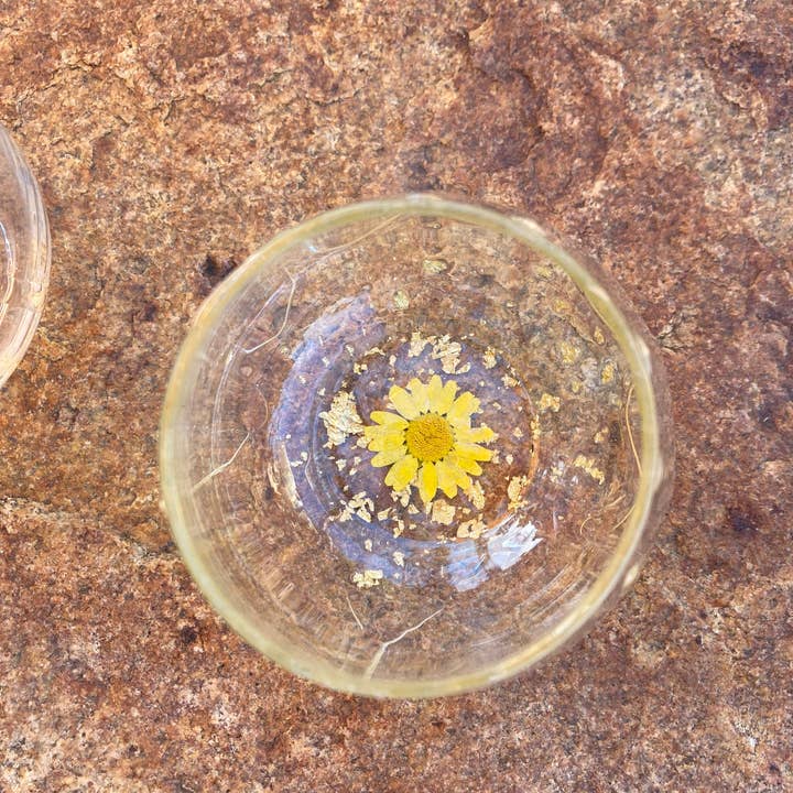 SeaLion Resin – wholesale Vinglas – Daisy Flower Stamless Vinglas ~ Torkade blommor