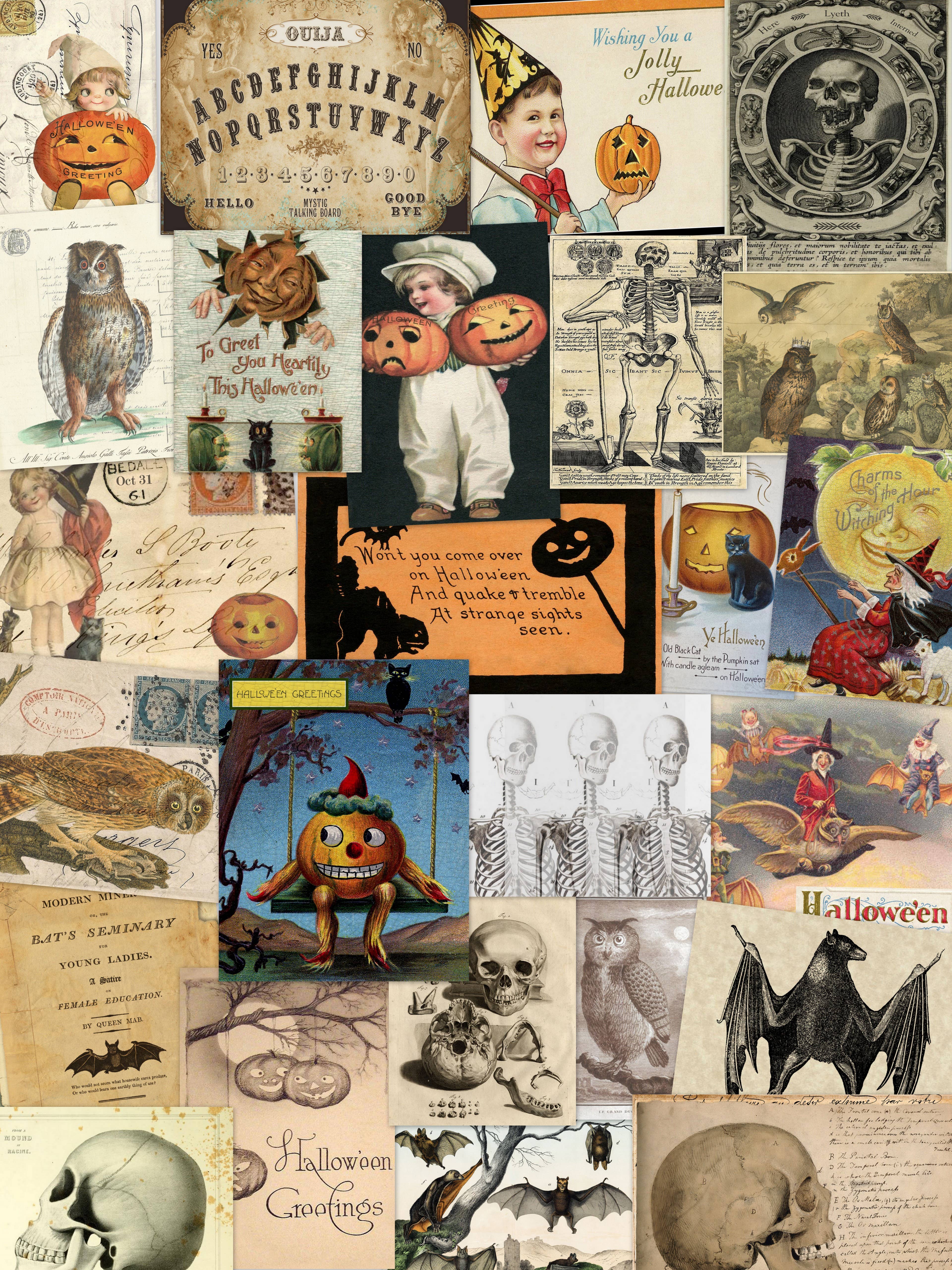 Monahan Papers - Wholesale Flat Wrap - Assorted 11" x 17"   50 Piece Halloween Papers Collection1