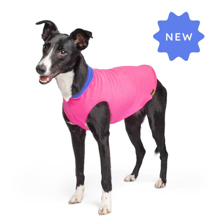 Gold Paw Series - Wholesale Pet Coat - Dog - Double Fleece3