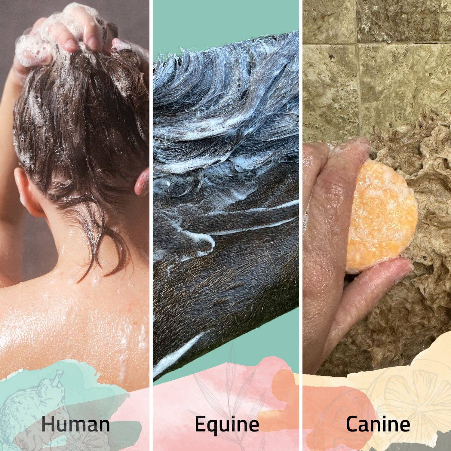 Kensington - Vente Disques de shampoing/shampoings solides - Barre de shampoing entièrement naturelle Bex Bar - paquet de 34