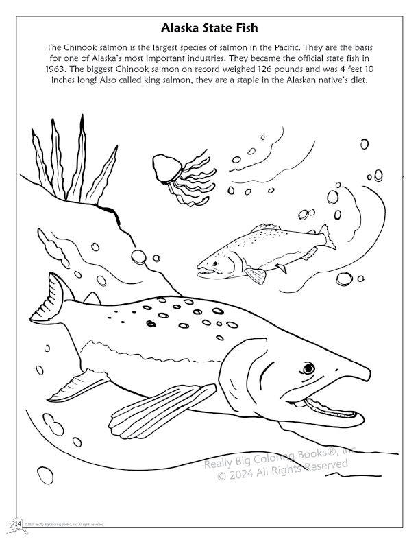 Really Big Coloring Books | ColoringBook.com - Wholesale Coloring & Activity Book - Kids & Baby - Alaska State Coloring Book 8.5 x 112