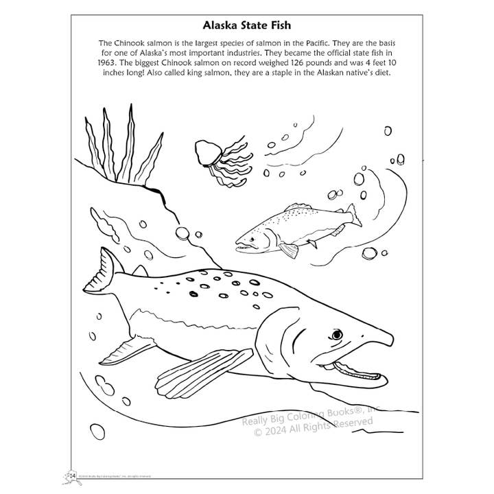 Really Big Coloring Books | ColoringBook.com - Wholesale Coloring & Activity Book - Kids & Baby - Alaska State Coloring Book 8.5 x 112