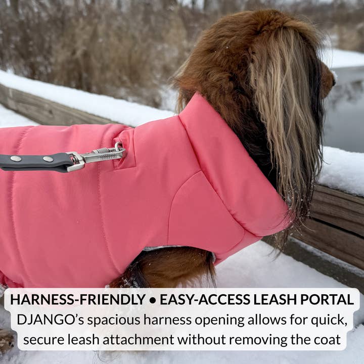 DJANGO - Wholesale Pet Coat - Dog - Snowline™ Puffer Dog Coat - Rose Petal Pink5